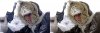 Han Solo coat 1.jpg