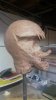 20131122_201041.jpg