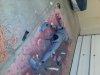 20131026_182355.jpg
