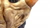 JAGGED CROWN_7.jpg