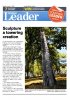 Leader Newspaper.jpg