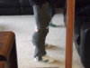DSCF5895.JPG