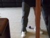 DSCF5896.JPG