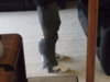 DSCF5897.JPG