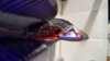 20181128_225322smaller.jpg