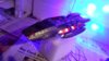 20181128_225655smaller.jpg