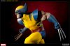 WolverineSideShow01.jpeg
