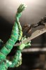PVC gy (24).JPG
