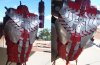 Mk V suit30.jpg