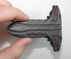 shuttle06.jpg