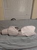 IMG_20190326_234927.jpg