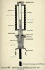 GRENADE - HALES - No3 - MkI - DIAGRAM - 303 Short Rifle - 01.jpg