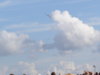 P1010064a.jpg