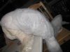 IMG_1440.JPG IMG_1440.JPG