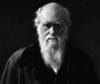 Charles Darwin.png