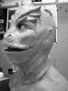 V MASK 10 BN.jpg