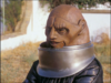 vlcsnap-2019-07-22-02h58m19s136.png