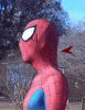 100_7347.gif