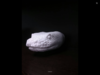 079BA6FD-35D2-45F1-AC9D-E1D0A1A65420.png