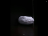 F9811744-6468-46C3-87A8-EFEEB4245514.png