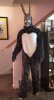RobCostume2.jpg
