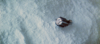 7 Wampa Cave HD 2.png