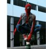 Punk Spidey.jpg