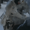 esbobi_01_U.gif