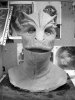 V MASK 55 BN.jpg