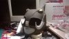 WP_20140123_21_49_50_Smart.jpg