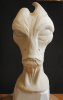Mordin 1.JPG