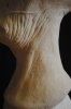 Mordin 4.JPG