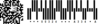 PIX image White BARCODE Finished.png