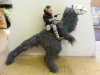 20140208_111121_resized.jpg