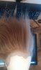 IMAG0866.jpg
