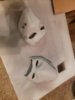 thumbnail_20191130_085509.jpg