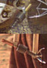 DroidLineUp1.jpg