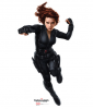 WinterSoldier_Widow.png