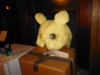 DSCF1483.JPG