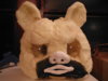 DSCF1491.JPG