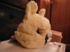 DSCF1493.JPG