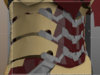e6anamyn.jpg
