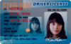 Drivers Licence.png