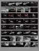 MF_contactSheet_003.jpg