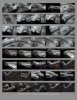 MF_contactSheet_004.jpg