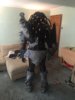 image.jpeg