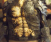 torso.jpg