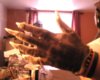 29_07_2017_17_14_43_640.jpg