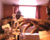 29_07_2017_17_15_02_656.jpg
