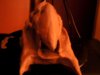2017_09_16_18_33_27_656.jpg